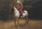 Mini on Horseback.jpg