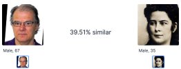 39.51%.jpg