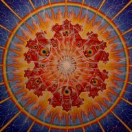 dtwist