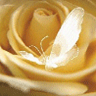 linen53