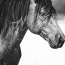 RunningWind92