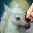 maidenandherunicorn