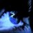 Medea_