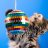 DiscoKitten